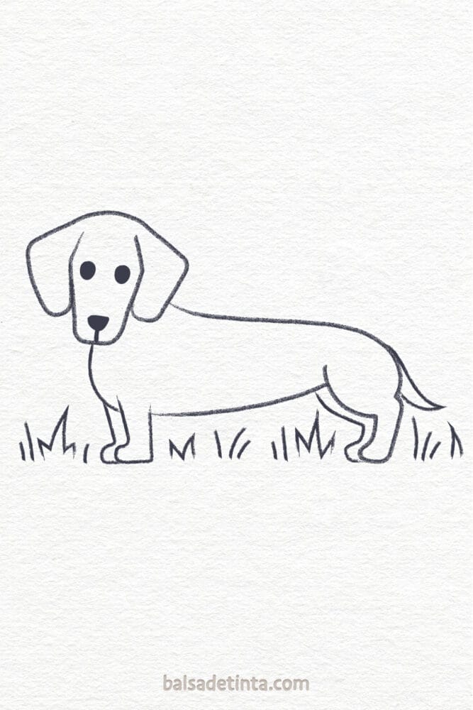 Perros fáciles de dibujar - perro salchicha