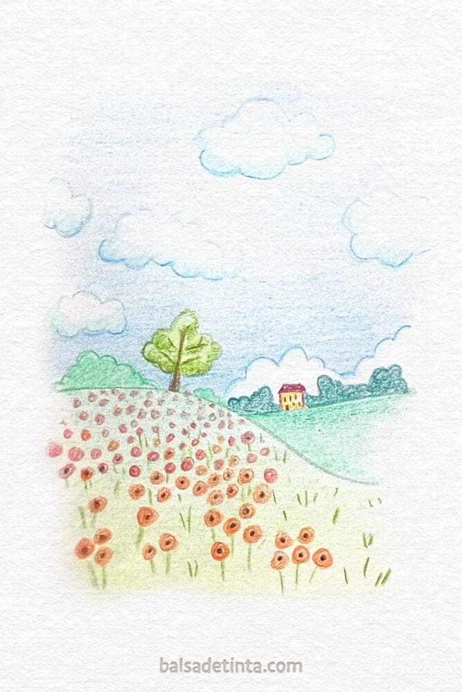 Colored Drawings - Poppy Field