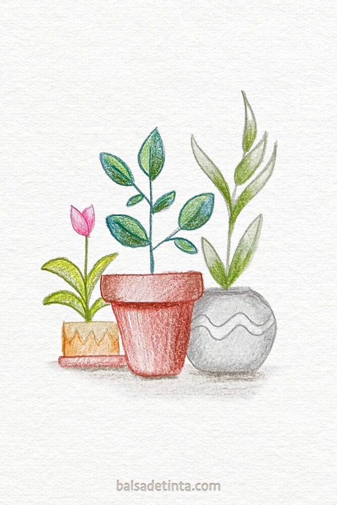 Colored Drawings - Plants