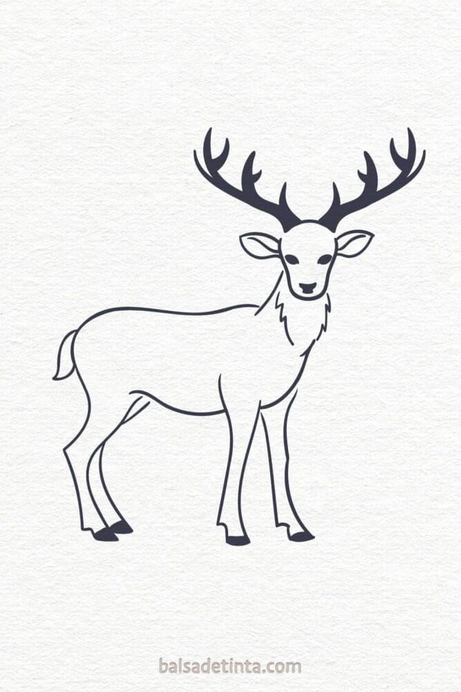 Dibujos de animales - ciervo
