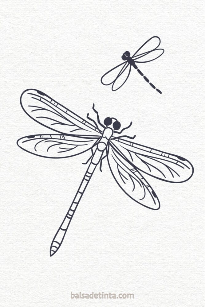 Dibujos de animales - libélula