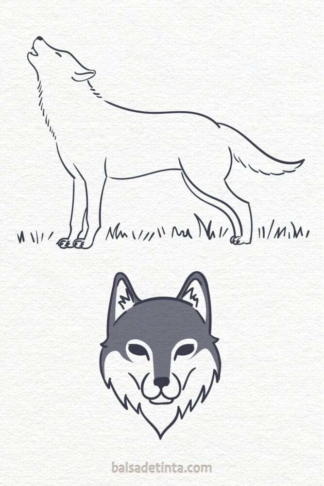 Dibujos de animales - lobo
