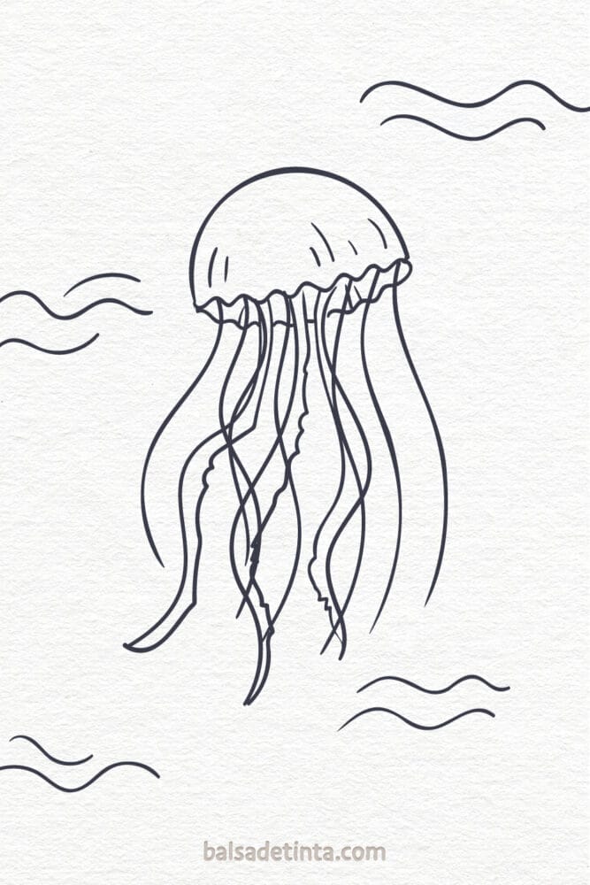 Dibujos de animales - medusa