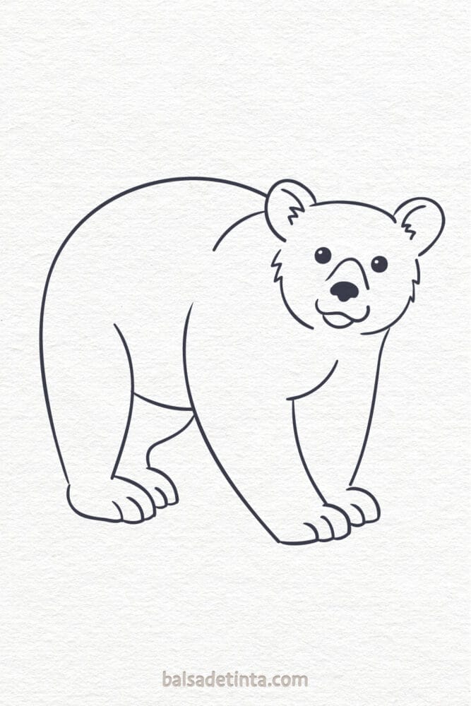 Dibujos de animales - oso
