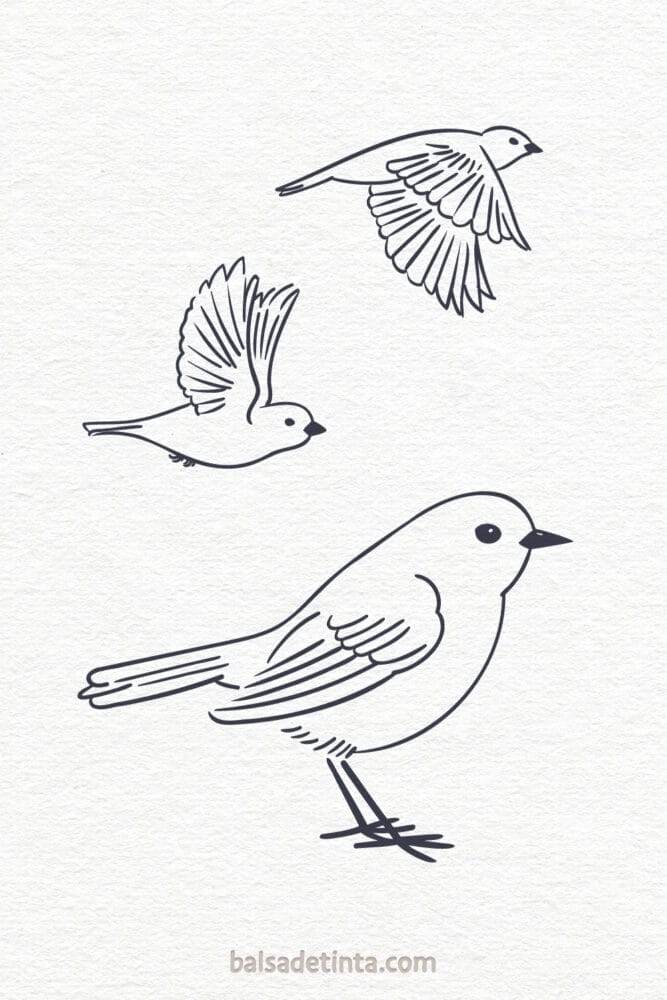 Dibujos de animales - pájaro