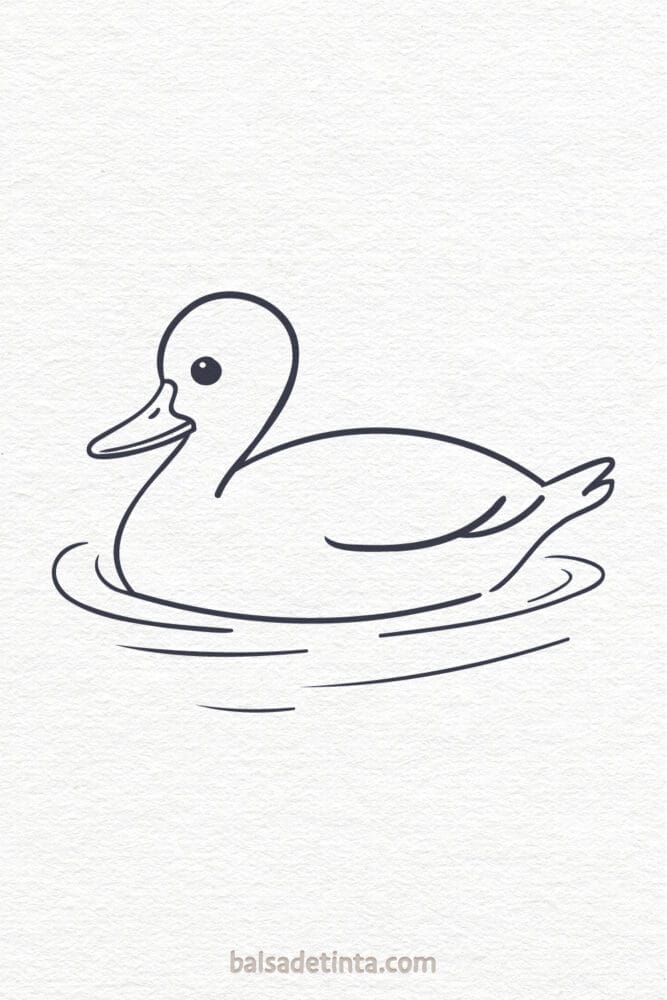 Animal Drawings - Duck