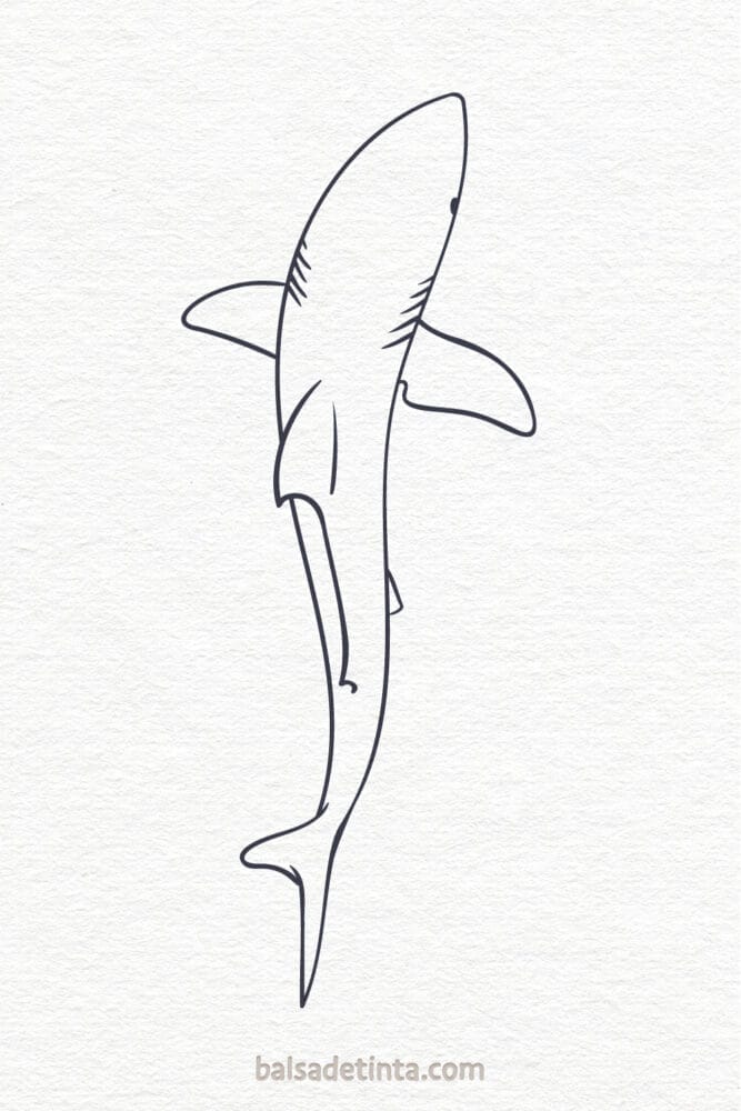Dibujos de animales - tiburón