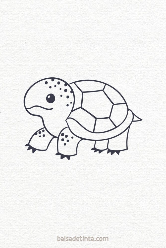 Dibujos de animales - tortuga