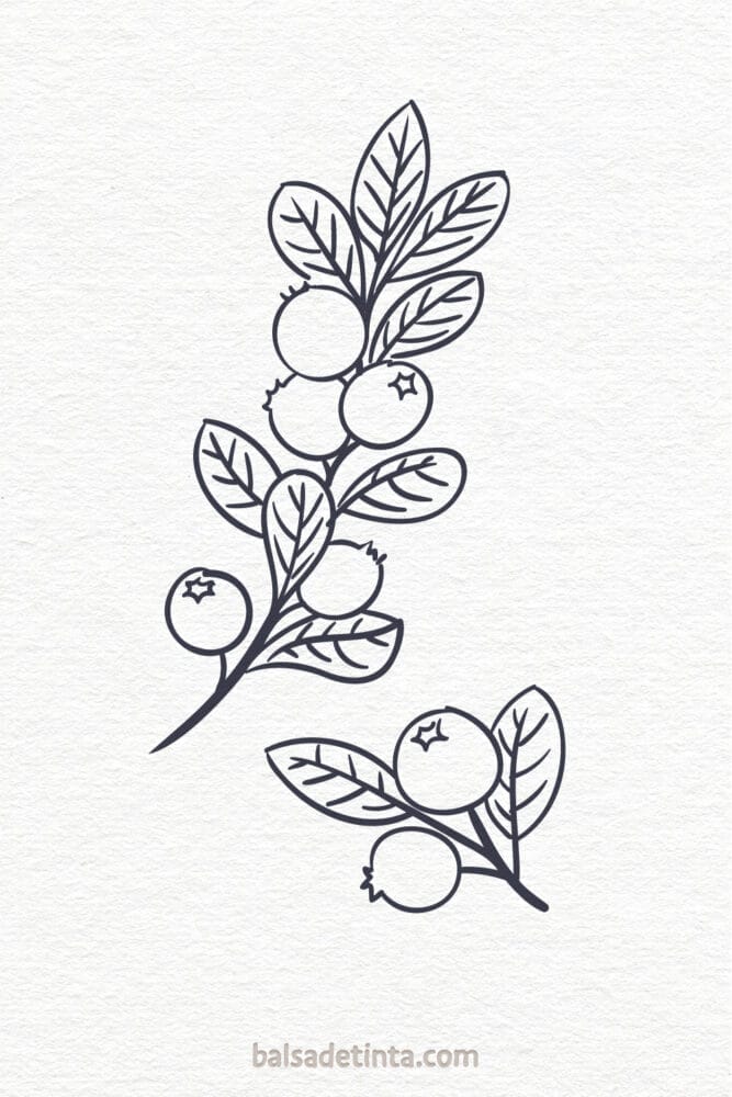 Autumn drawings - forest fruits