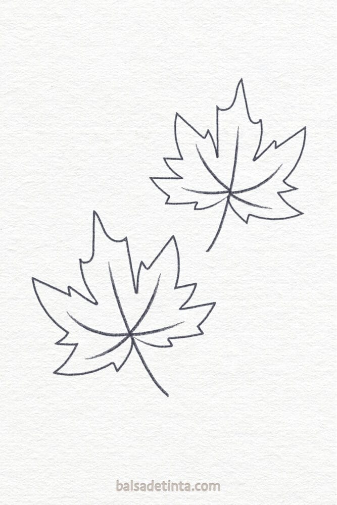 Autumn drawings - leaves