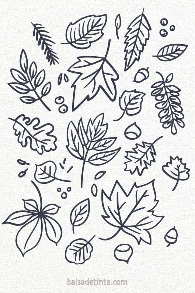 Autumn drawings - fallen leaves and fruits