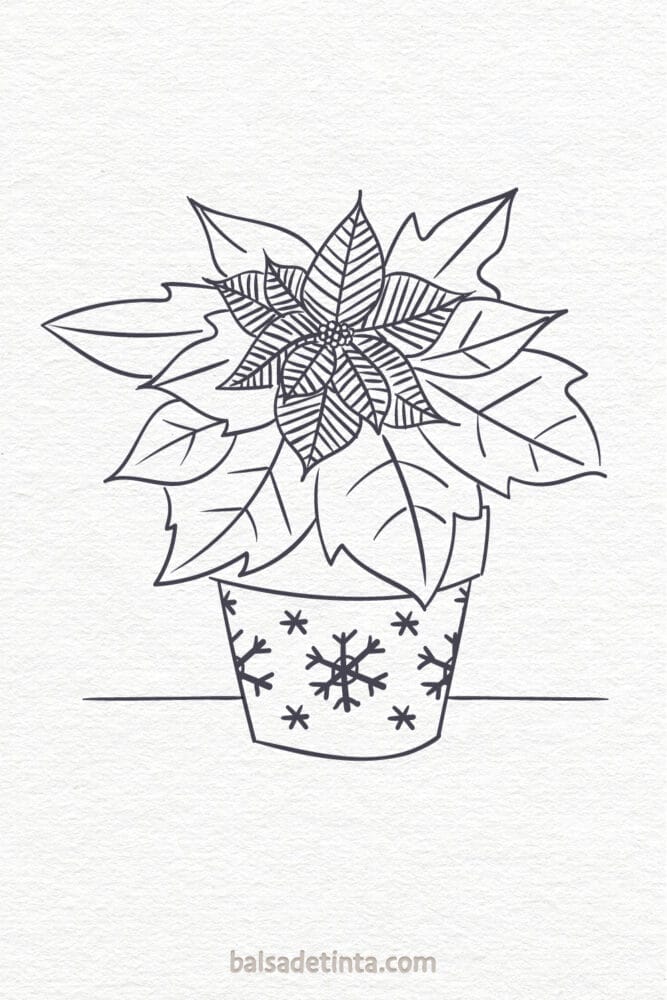 Christmas Drawings - Poinsettia